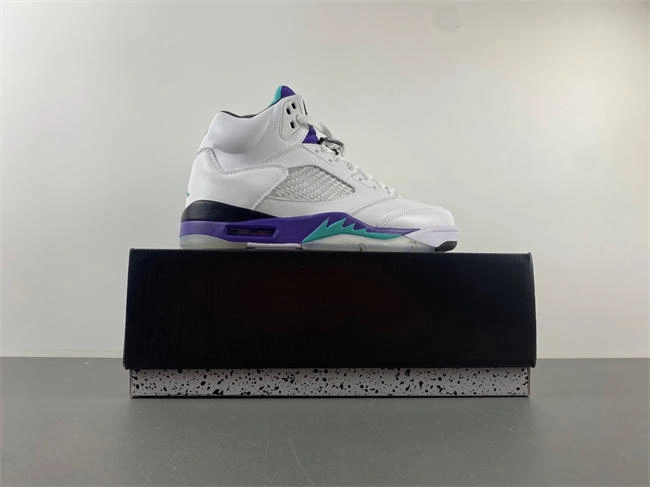 Sleek Air Jordan 5 Retro Grape 136027- 3989