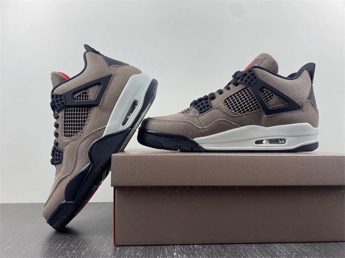 Jordan 4 Retro Taupe Haze DB0732- Bright 3856