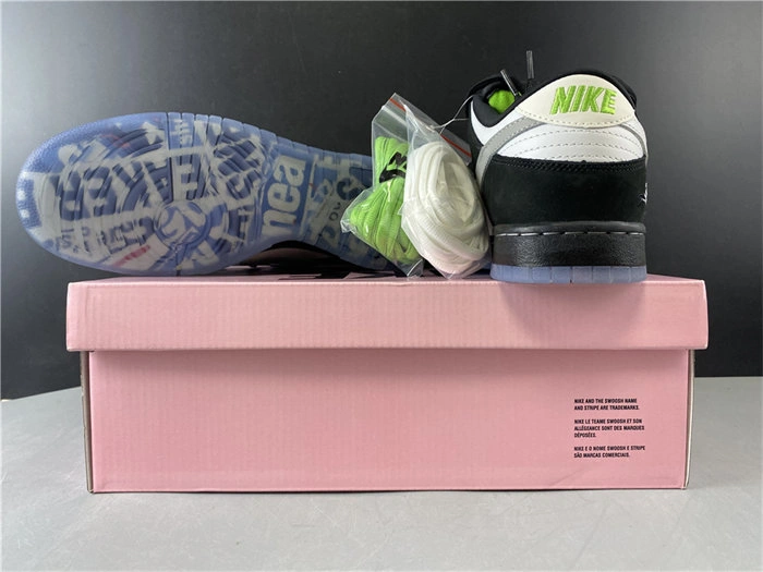Colorful Nike SB Dunk Low Staple Panda Pigeon BV1310- 4902